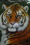 Wildlife Art Painting