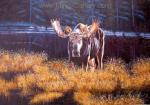 Deer painting on canvas ANX0005