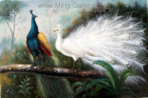 Birds painting on canvas ANE0005