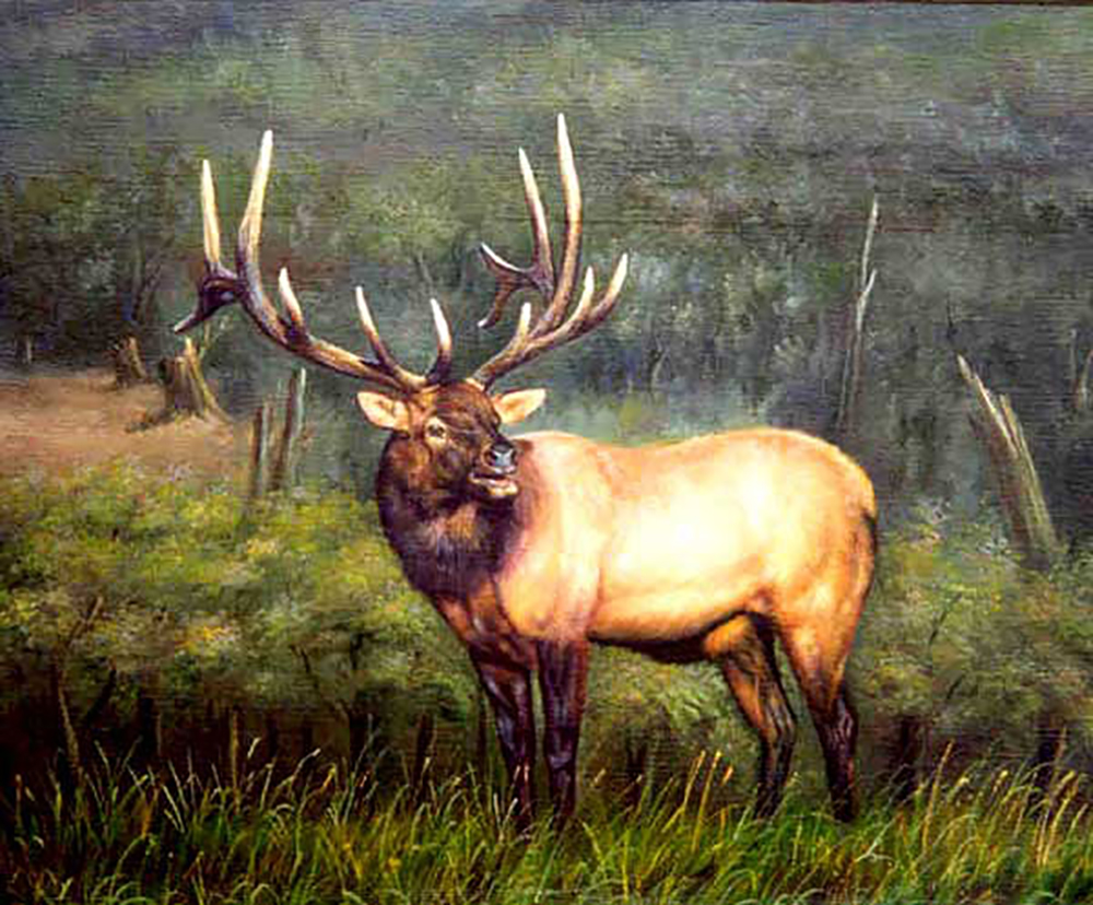 Deer painting on canvas ANX0006