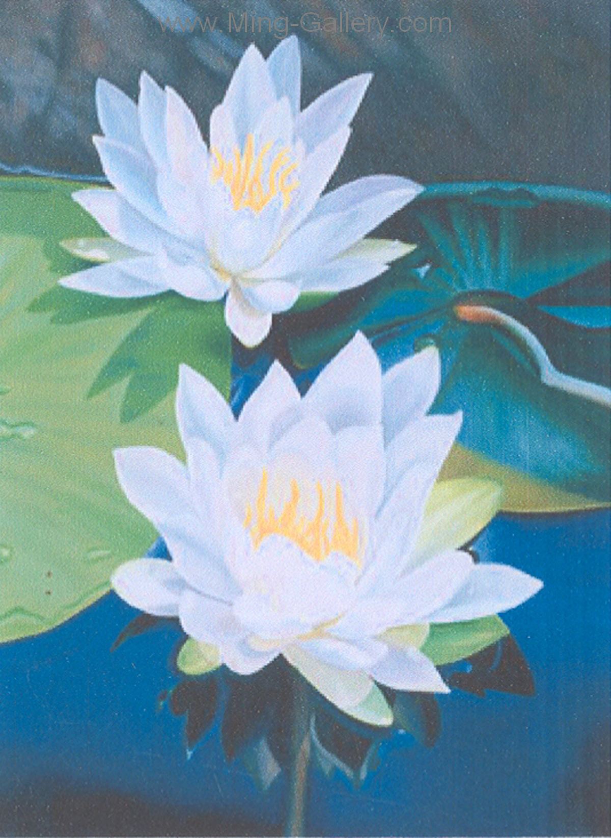 FLO0075 - Flower StillLife Oil Painting
