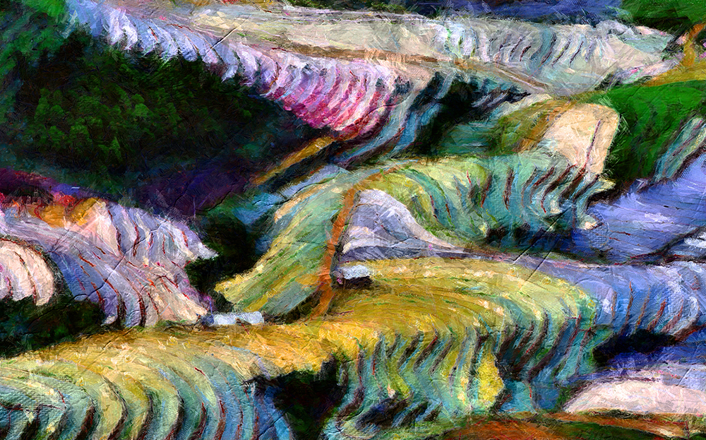 Thai Rice Fields painting on canvas TRM0003