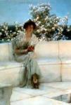  Alma-Tadema,  AML0034 Alma-Tadema Reproduction Art Oil Painting