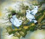 Birds painting on canvas ANB0036