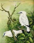  ,  ANB0039 Oil Painting of Birds for Sale