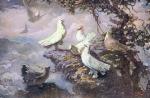 Birds painting on canvas ANB0055