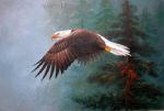  ,  ANB0066 Oil Painting of Birds for Sale