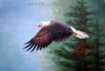  ,  ANB0074 Oil Painting of Birds for Sale