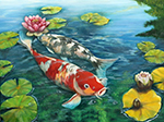 Koi Fish painting on canvas ANF0005