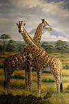  ,  ANG0001 Giraffe Painting for Sale