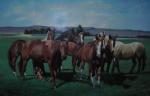 Horses painting on canvas ANH0004