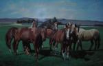  ,  ANH0004 Horse Painting for Sale