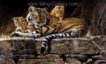 Big Cats painting on canvas ANL0009