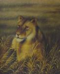 Big Cats painting on canvas ANL0019