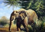  ,  ANP0002 Oil Painting of Elephant