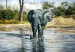  ,  ANP0003 Oil Painting of Elephant