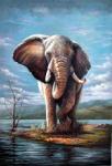  ,  ANP0005 Oil Painting of Elephant