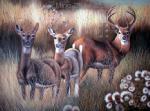 Deer painting on canvas ANX0001