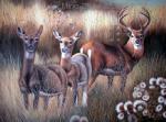  ,  ANX0001 Oil Painting of Deer