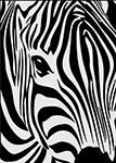 Zebras painting on canvas ANZ0012