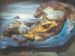  Dali,  DAL0045 Salvador Dali Surrealist Art Reproduction OilonCanvas Painting