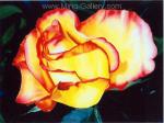  ,  FLO0071 Flower StillLife Oil Painting