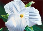 Flowers painting on canvas FLO0073