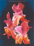Flower StillLife Oil Painting