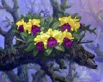 Flowers painting on canvas FLO0103