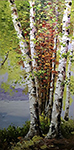 Forests painting on canvas FOR0043