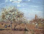  Pissarro,  PIS0014 Pissarro Impressionist Painting