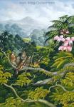 Tropical Landscape painting on canvas TLS0027