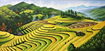 Thai Rice Fields painting on canvas TRM0010