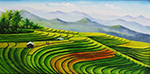 Thai Rice Fields painting on canvas TRM0012