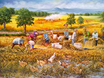 Thai Rice Fields painting on canvas TRM0016