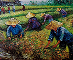 Thai Rice Fields painting on canvas TRM0024